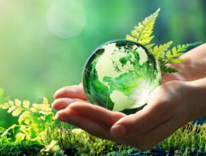 Read more about the article Actions you can take this World Environment Day